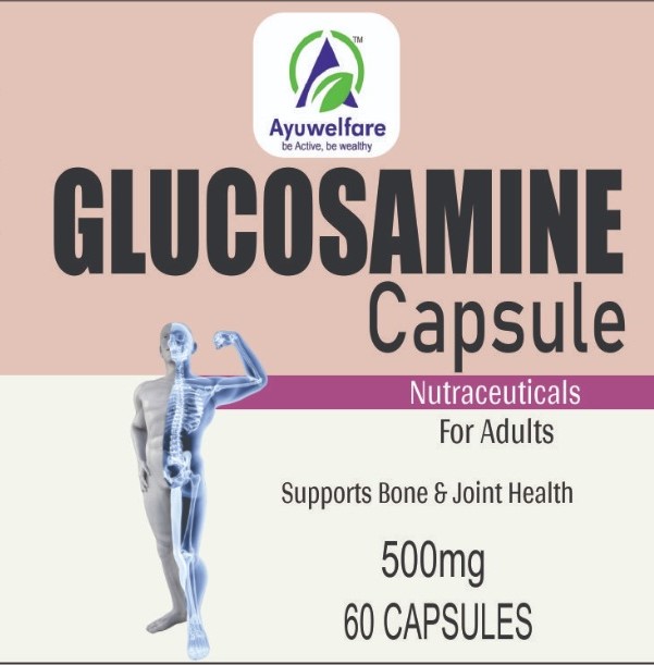 GLUCOSAMINE CAPSULES 500MG